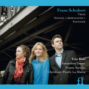 Schubert: Trios, Sonate "Arpeggione" & Fantaisie