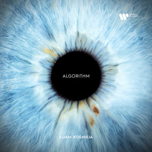 ALGORITHM (Single Version)