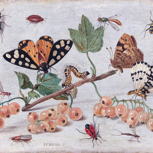 ** Boy Fresh (Explicit)