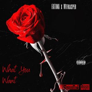 What You Want (Explicit)