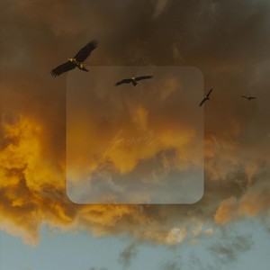 Favor  [feat. Tracey Phipps] (COVER版)