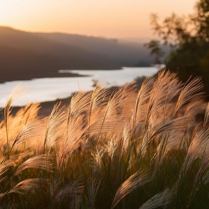 Felicidad Meditativa: Música Para La Calma Interior