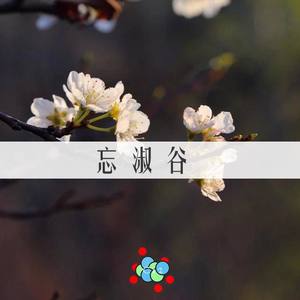 忘淑谷