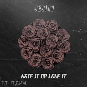 Hate It Or Love It (feat. ItzJavii) [Explicit]