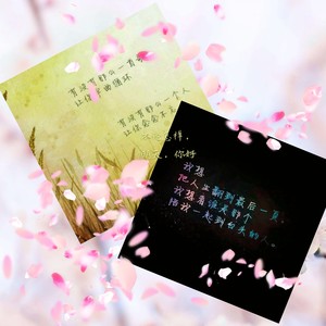 岑宁儿 - 追光者钢琴版 (Remix)