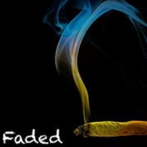 Faded (feat. Sean Burns) [Explicit]