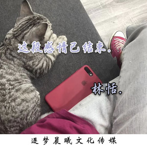 这段感情已结束