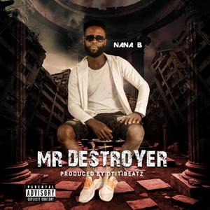 Mr Destroyer (Explicit)