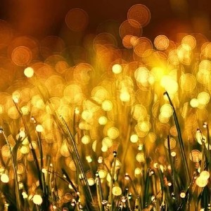 かすかな思い（微弱的思念）