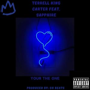 Your The One (feat. Sapphire) [Explicit]