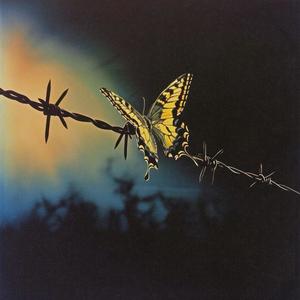 OASIS (Explicit)