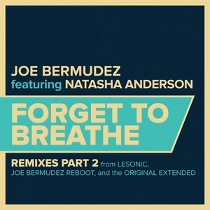 Forget To Breathe (LeSonic Remix Radio Edit)