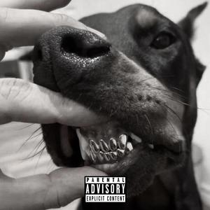 Talking $hit (feat. Onix) [Explicit]