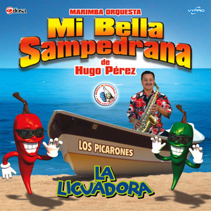 El Taconazo