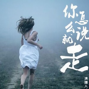 你怎么说走就走