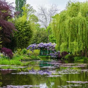 Gardening is Very Peaceful