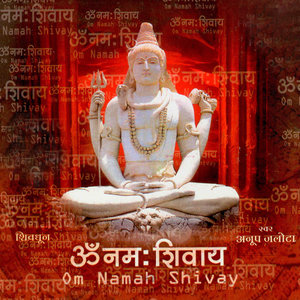 Om Namah Shivay