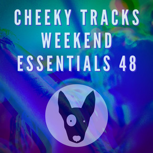 Make U Sweat (Groove Control 138 Radio Edit)