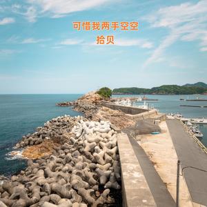 可惜我两手空空