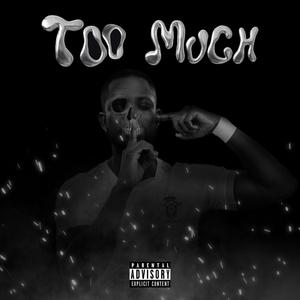 TOO MUCH (feat. Suhn) (Explicit)