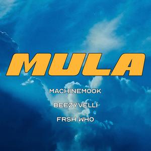 MULA (Explicit)