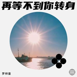 再等不到你转身