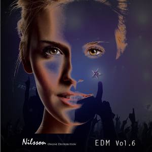 EDM, Vol. 6