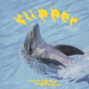 Flipper