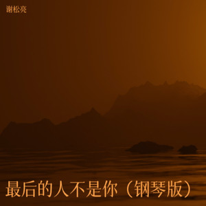 欠父亲的话 (钢琴版) - 谢松亮封面
