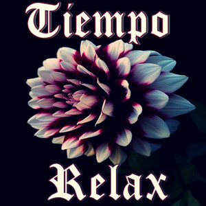 Soy un minimalista. Me gusta decir lo máximo con lo mínimo