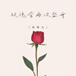 玫瑰会再次盛开