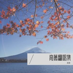 我是一只小小鸟