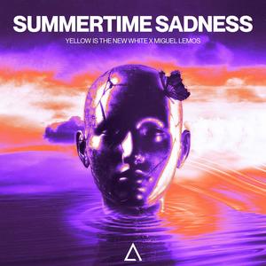 Summertime Sadness (Extended Mix)