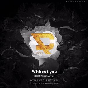 Without You