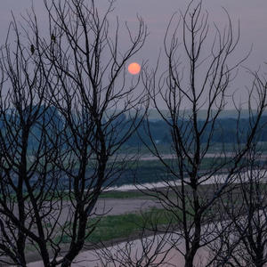 make us a way (Explicit)