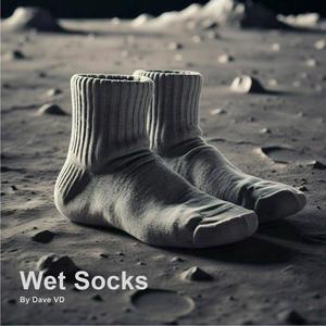 Wet socks