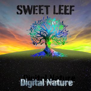 Digital Nature