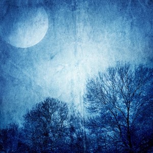 见与不见 (原创)