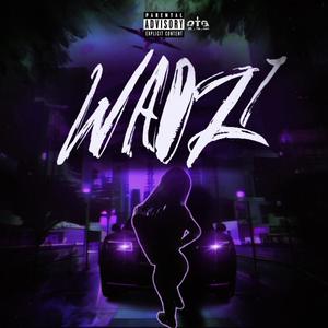 Wadz Files 1 (Explicit)