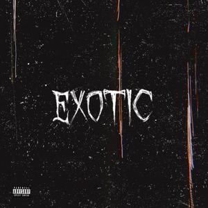 EXOTIC (feat. n0s0ul) (Explicit)