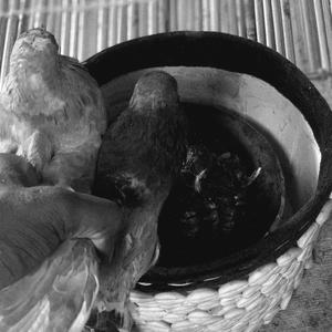 Slime3x (feat. Reemo) (Explicit)