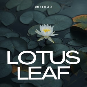 Lotus Leaf