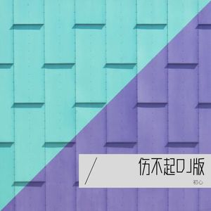 伤不起  (西南DJ初心 remix)