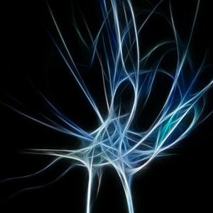 Juh Vibe (feat. Bumpdadraco) (Explicit)