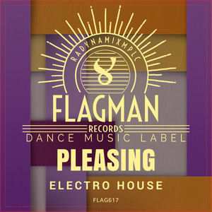 Pleasing Electro House