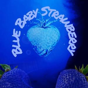 Blue Baby Strawberry