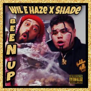 Been Up (feat. Wil E Haze) [Explicit]