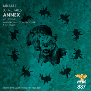 Annex (Mineground Remix)