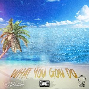 What You Gon Do (Explicit)