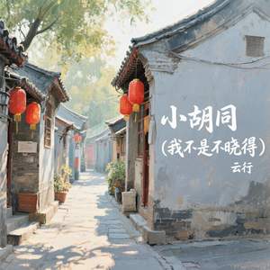 小胡同 (我不是不晓得)